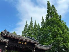 -上海醉白池公园
