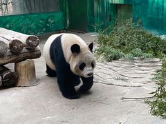 -杭州野生动物世界