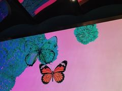 -蝴蝶里·粤菜·点心(龙湖天街&滨江店)