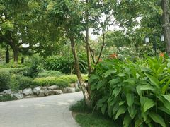 android_upload_pic-纵棹园