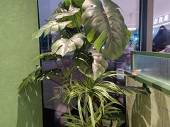 -椰小鸡·琼州糟粕醋·火锅(美兰缤纷城店)