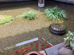 -几荷·恰似故人来(秀水广场店)