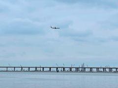 -宝安西湾红树林湿地公园