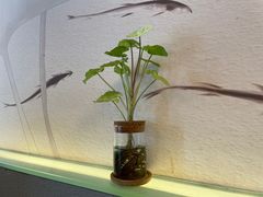 -红小满休闲餐厅(十全街店)