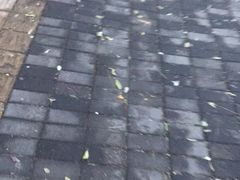 -巴黎贝甜(望京信万店)