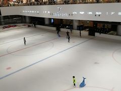 -TheRink大零溜冰场(IFS国金中心店)