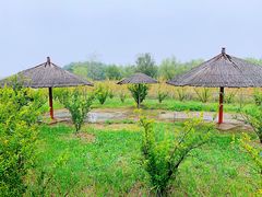 -处女泉风景名胜区