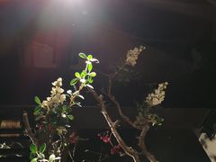 大堂-通海俄式烧烤(下瓦房店)