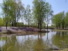 -东郊湿地公园