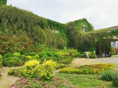 -府河摄影公园
