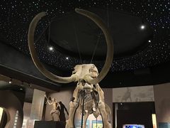 -呼伦贝尔民族博物馆