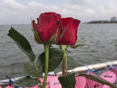 -滴水湖
