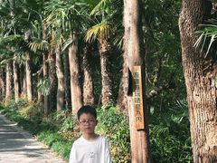 -同里国家湿地公园