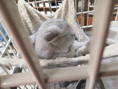 -情忆草原涮肉馆