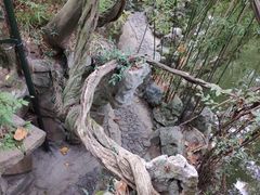 -绮园景区