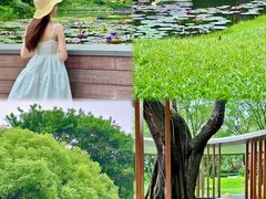 -云溪植物园