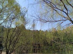 -青岛大珠山景区