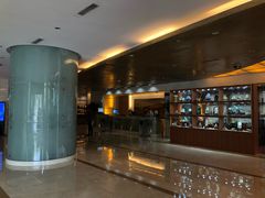 -深圳中洲圣廷苑酒店世纪楼