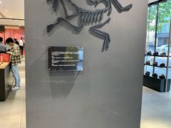 -ARC'TERYX始祖鸟(北京王府中环店)
