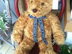 -济州岛泰迪熊博物馆