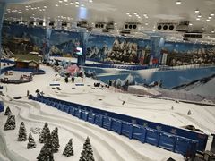 -湘江欢乐城欢乐雪域