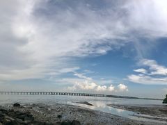 -宝安西湾红树林湿地公园