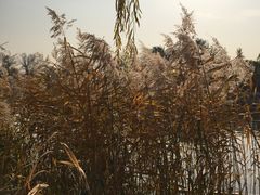 景点-什刹海-后海