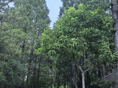 -成都南湖公园