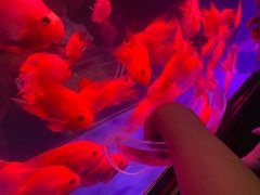 -多彩贵州城极地海洋世界