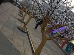 -丽达购物中心(崂山店)