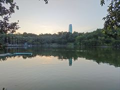 -莲花山公园