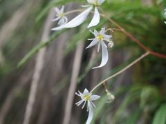 -叠溪松坪沟景区