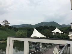 -帐篷客·溪龙茶谷度假酒店