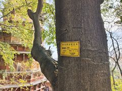 -宝通禅寺