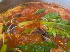 -百灵希尔顿逸林酒店·逸林轩中餐厅