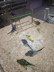 -meland亲子乐园·派对·研学(淄博万象汇店)