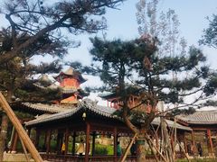 -迎泽公园