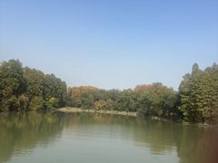 -东湖落雁景区