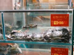 -大茄来海鲜餐厅(亚洲城分行)