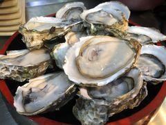 -大富蚝乌东哥饭店·石锅鱼杂·柠檬鸭(革新路店)