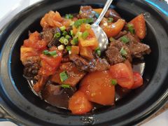 蕃茄牛腩-川香楼酒家