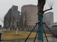-安徽大学(龙河校区)