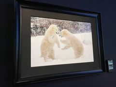 -罗红摄影艺术馆