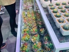 -KKV(深圳宏发大仟里店)