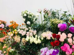 -Flower in(密渡桥店)