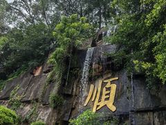 -三水森林公园