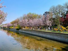 -元大都城垣遗址公园