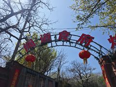 -闻道食府烙饼卷带鱼(原车耳营店原大觉寺店)