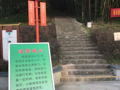 -羚羊峡古栈道森林公园