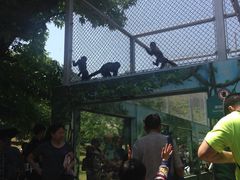 -西安秦岭野生动物园